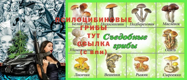 альфа пвп Армянск