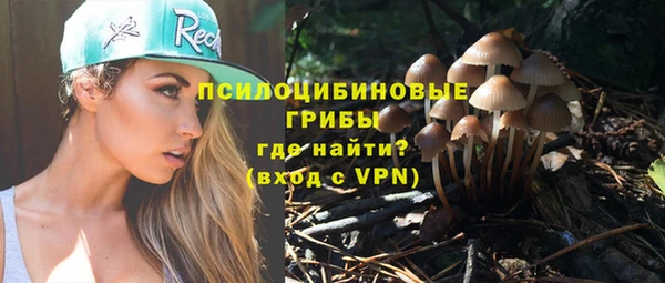 спайс Арсеньев