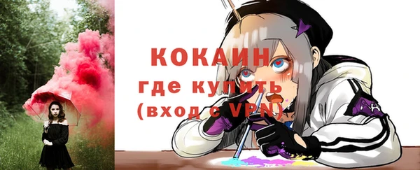 шишки Баксан